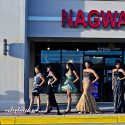 Nagwa's Fashion